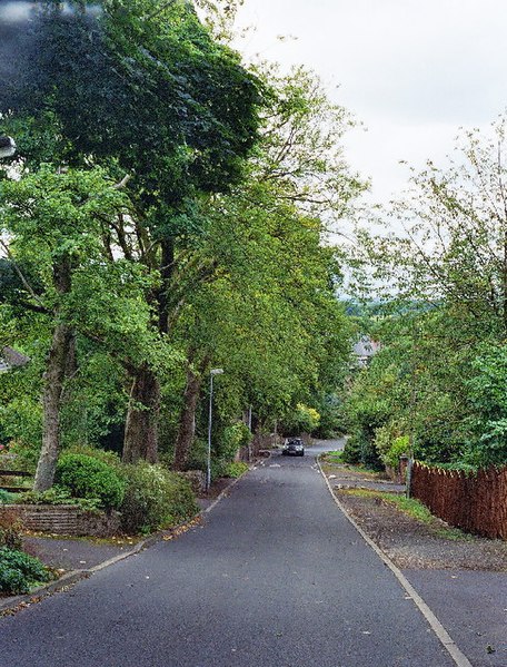 File:Beardwood Brow, Blackburn - geograph.org.uk - 46198.jpg