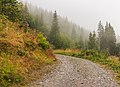 * Nomination Mountain trip from Tschiertschen (1350 meters) via Ruchtobel to Löser (1680 meter). The mist is lifting. --Famberhorst 06:06, 16 October 2017 (UTC) * Promotion  Support Good quality. -- Johann Jaritz 06:24, 16 October 2017 (UTC) Great photo, IMO. I'd support it for FP, but others probably wouldn't find it a special or unusual scene, so in that case, just take this as a compliment. -- Ikan Kekek 07:10, 16 October 2017 (UTC) Note: Thank you for your comment.--Famberhorst 15:28, 16 October 2017 (UTC)