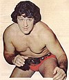 Billy Robinson - Wrestling programme NWA 267 1976 magazine.jpg