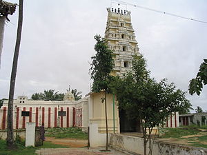 Bindignavile temple.jpg