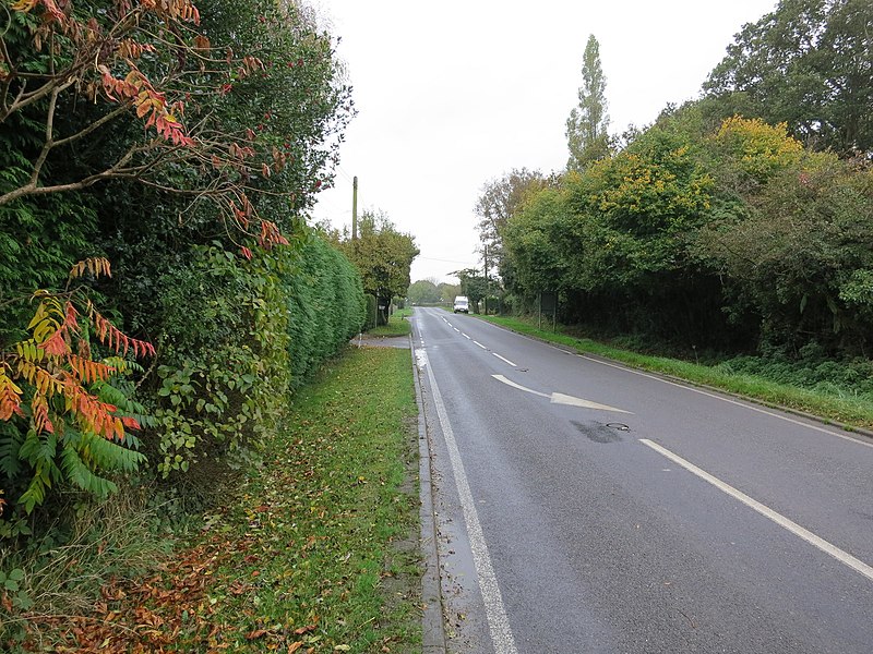 File:Bines Road (B2135) - geograph.org.uk - 3196172.jpg