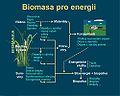 Biomasa.jpg