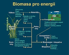 Biomasa: Ekologická definice, Klimatologické využití, Energetické využití