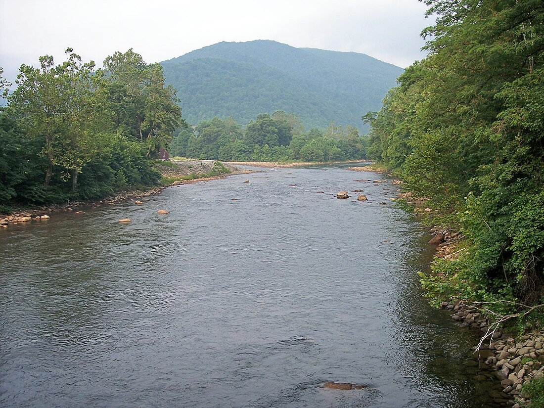 Black Fork (suba sa Tinipong Bansa, West Virginia, Tucker County)