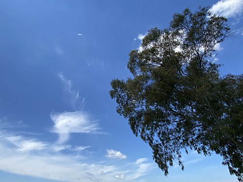 Blue Sky in Rome