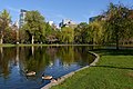* Nomination Boston Public Garden Pond. --King of Hearts 04:45, 7 October 2021 (UTC) * Promotion  Support Good quality -- Johann Jaritz 04:46, 7 October 2021 (UTC)