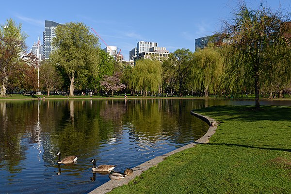 Boston Public Garden pond in 2018