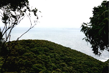 Bouddi NP