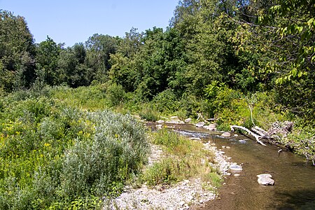 Bowmanville Creek (08 19 23) 004