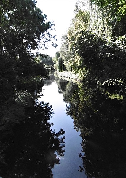 File:Branche de Croix 8 vue à la fin du canal vue vers l'aval.jpg