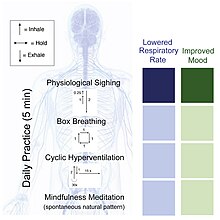 Схематичне зображення порівняльного дослідження різних методик дихальних вправ задля покращення настрою та симптомів стресу