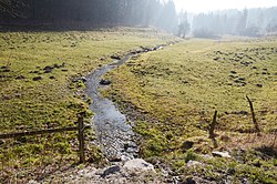 Brilon, Hillbringse an der ehemaligen Zollstation (2) .JPG