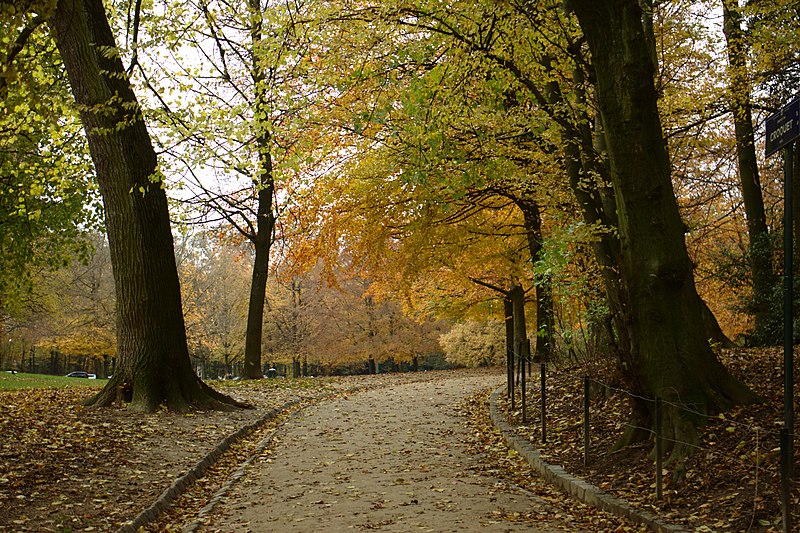 File:Brusel, Bois de la Cambre, cesta II.jpg