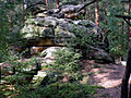 Felsen am Buchstein (Geotop 462R001)