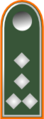 Naramenska epoletna oznaka (za službeno uniformo)