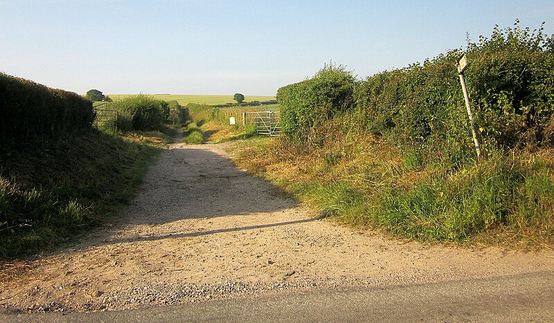 File:Byway to Burnbake - geograph.org.uk - 4219087.jpg