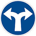 Turn left or right only