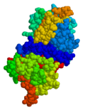 Miniatura para Inhibidor C1