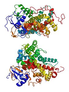 Steroide 21 idrossilasi