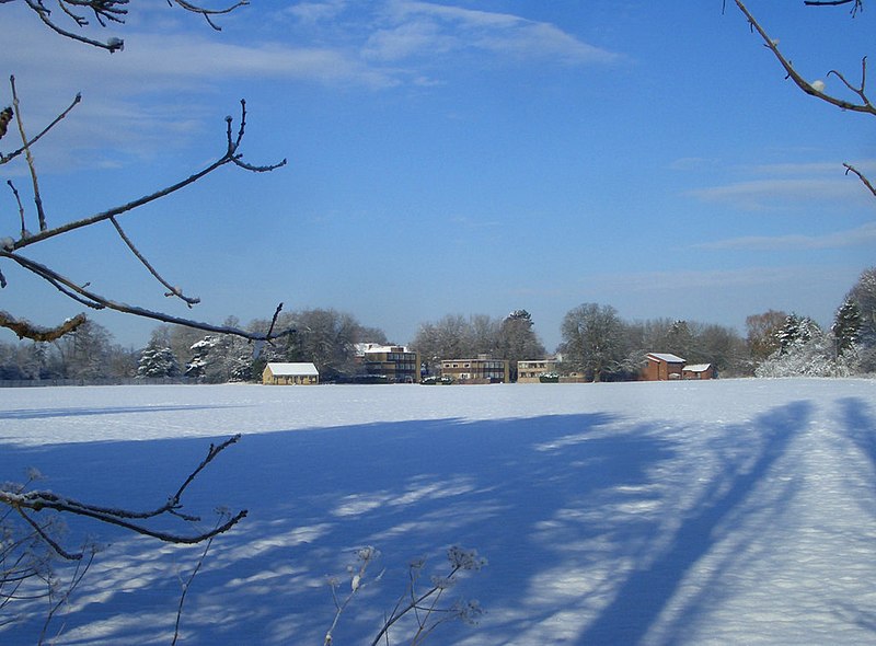 File:Carmel College Playing Field - geograph.org.uk - 1691936.jpg