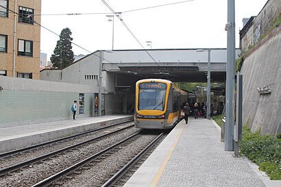 Como chegar a Estação Carolina Michaelis através de transportes públicos - Acerca do local