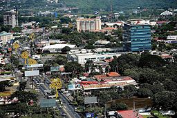 Centrala Managua 2016. Notera de gula konstgjorda träden.