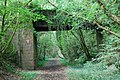 Cast Iron Bridge - geograph.org.uk - 959401.jpg