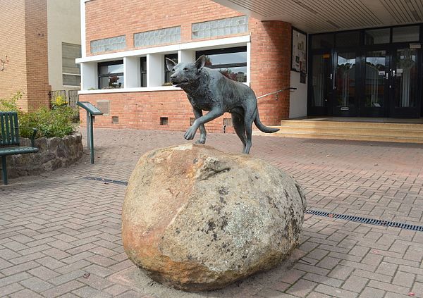 The Kelpie Monument in Casterton, "Birthplace of the Kelpie".