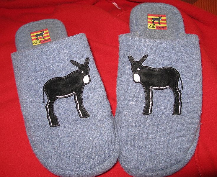 File:Catalan Donkey 080126 01.jpg