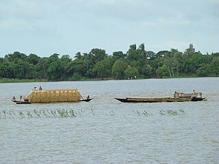 Chalan Beel Wetland in Bangladesh