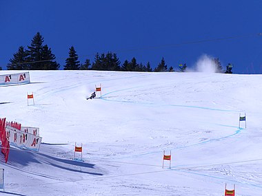 Alice Robinsonová na trati Super-G