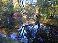 Schlosspark im Herbst