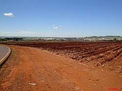 Terra Roxa bei São Joaquim da Barra