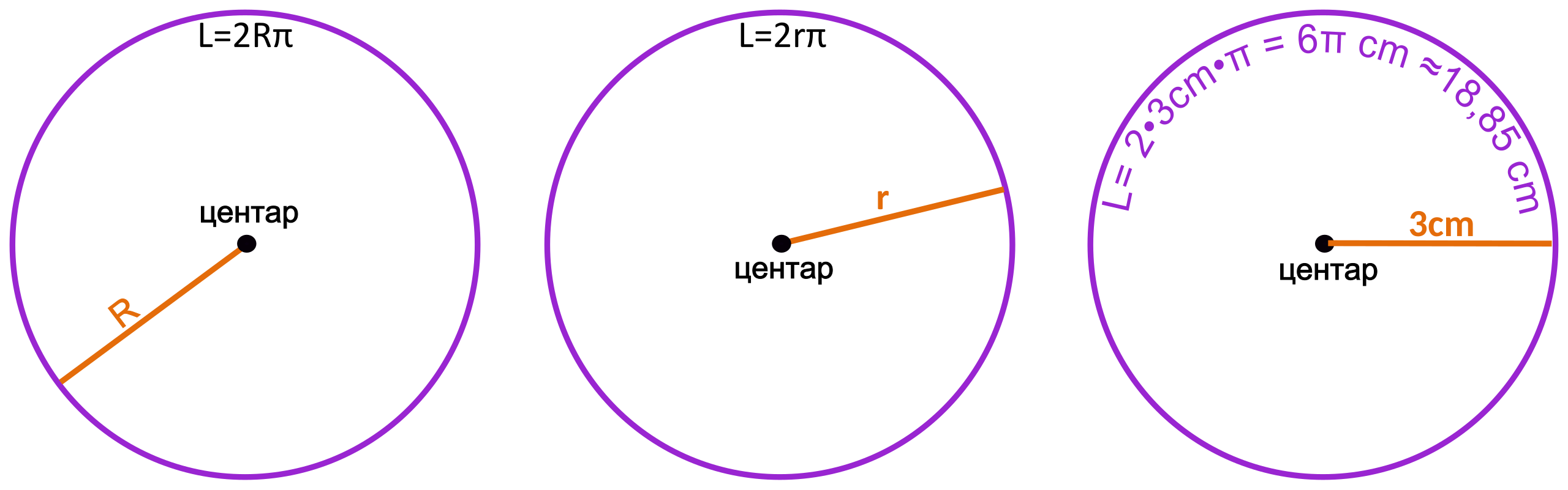 Radius seven. Радиус. Система радиус. Радиус тарелки. Radius diameter.