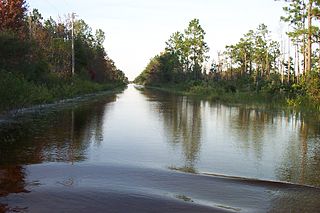 Bull Creek, Florida human settlement in Florida, United States of America
