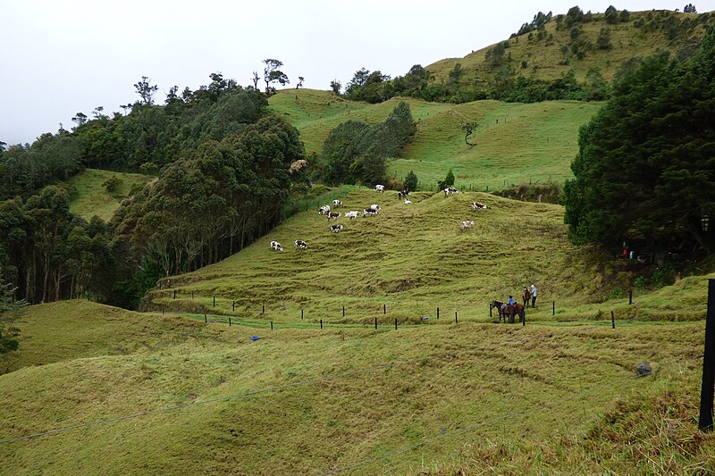 File:Cruce de Cordillera Central - Vistas sobre los 2800, antes y después de la cumbre (14728334215).jpg