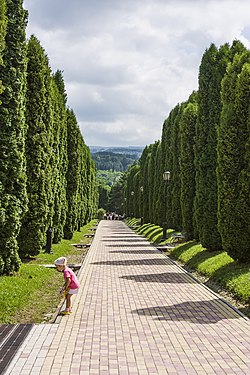 Cypress alley in Kislovodsk, Russia