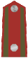 Czechoslovakia Army OR-5 - rotmistr (1925-1929).gif