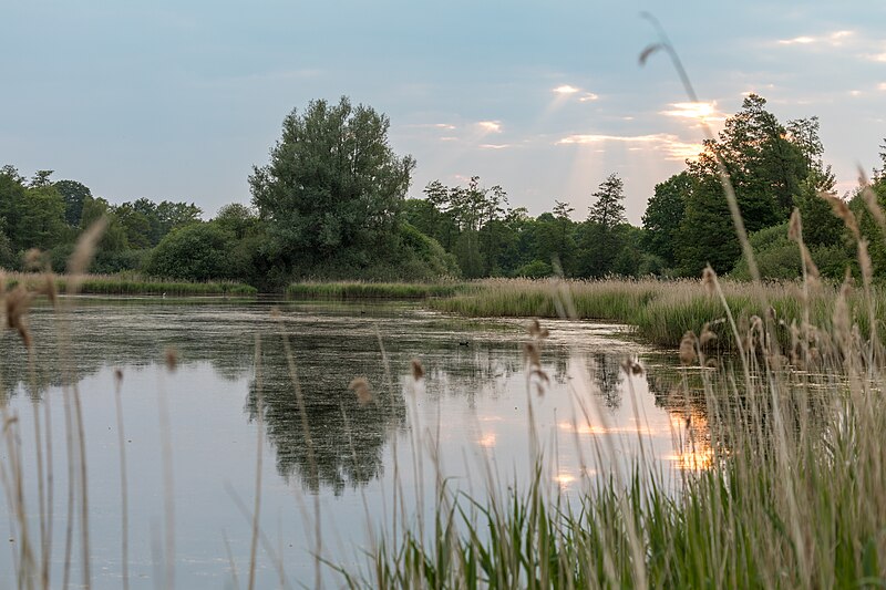 File:Dülmen, Kirchspiel, Oedlerteich -- 2018 -- 2524.jpg