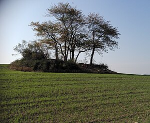 The Aschenberg near Seifersdorf