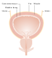 Thumbnail for version as of 15:59, 11 December 2015