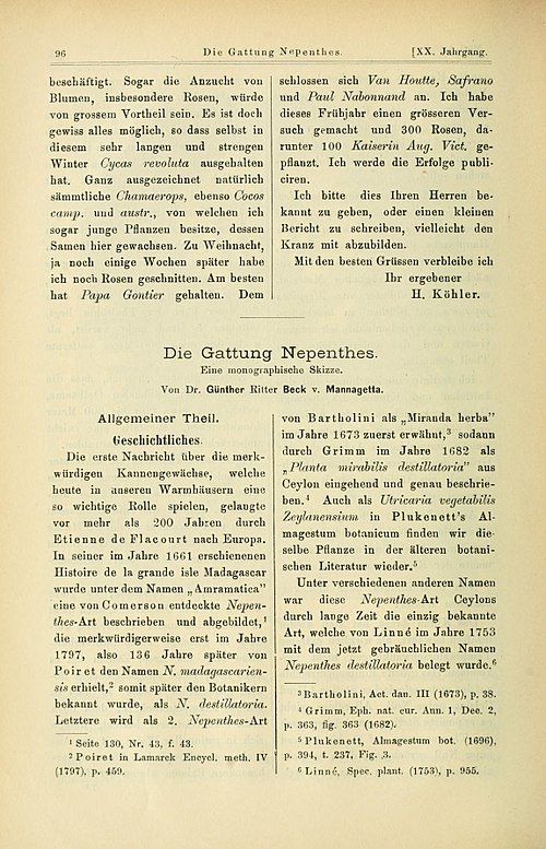 Image: Die Gattung Nepenthes (page 96)