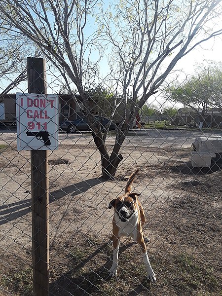 File:Dog in front of fence in colonia in Edinburg area.jpg