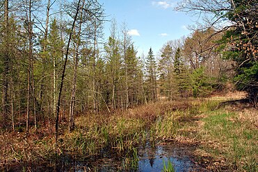 Dorothy Lake State Natural Area2.jpg