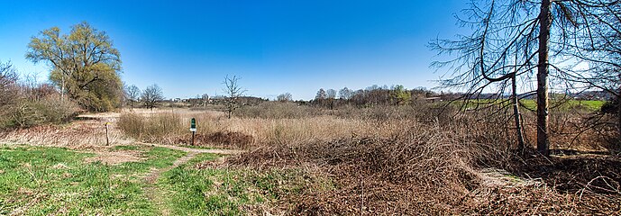 Blick von Süden über das Ottisbergmoos