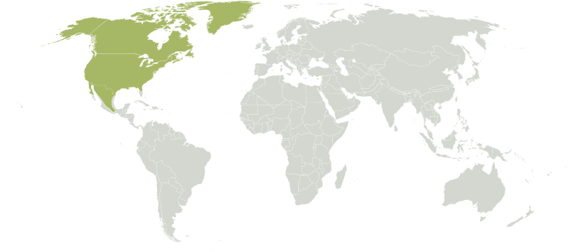 File:Ecozone Nearctic.svg