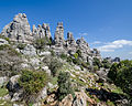 * Nomination Rock formation in Parque Natural El Torcal in Andalusia near Antequera --Tuxyso 16:45, 22 March 2014 (UTC) * Promotion Good quality. --Poco a poco 18:57, 22 March 2014 (UTC)