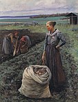 Potato Harvesters, 1893