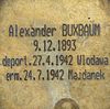 Erinnern für die Zukunft - Alexander Buxbaum.JPG