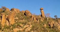 Babile Elephant Sanctuary